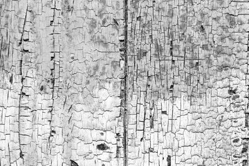 Obraz premium wood texture. background old panels