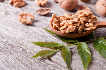 walnut kernel in a wooden spoon