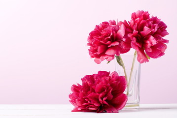 Peonies in a glass on a pink background