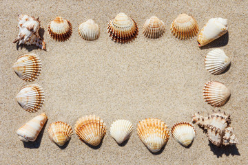 Frame of sea shells on the sand. Place for text.