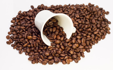 Roasted Coffee Beans