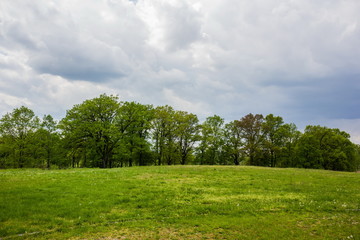 Springtime in Czech republic.