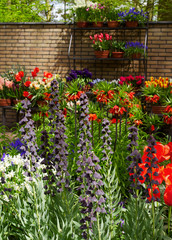 Fototapeta na wymiar Colorful tulips, narcissus, hyacinths, lily, hydrangeas, muscari flowers in spring park