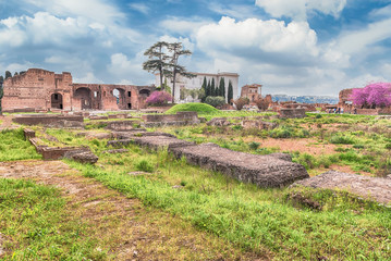 Roman ruins on the Palatine Hill in Rome, Italy