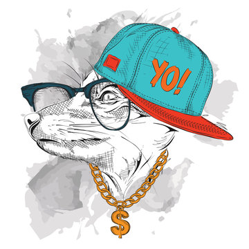 The poster with the image fox portrait in hip-hop hat. Vector illustration.