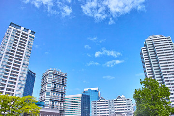 Fototapeta premium 新緑と高層マンション
