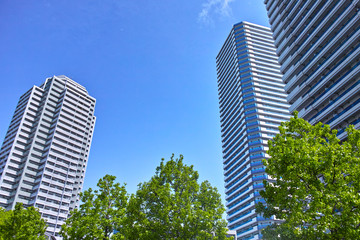 新緑と高層マンション