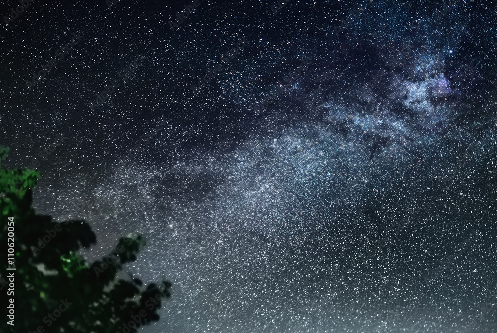 Wall mural clearly milky way galaxy found in russia at night