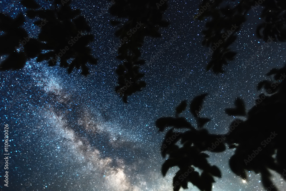 Wall mural clearly milky way galaxy found in russia at night
