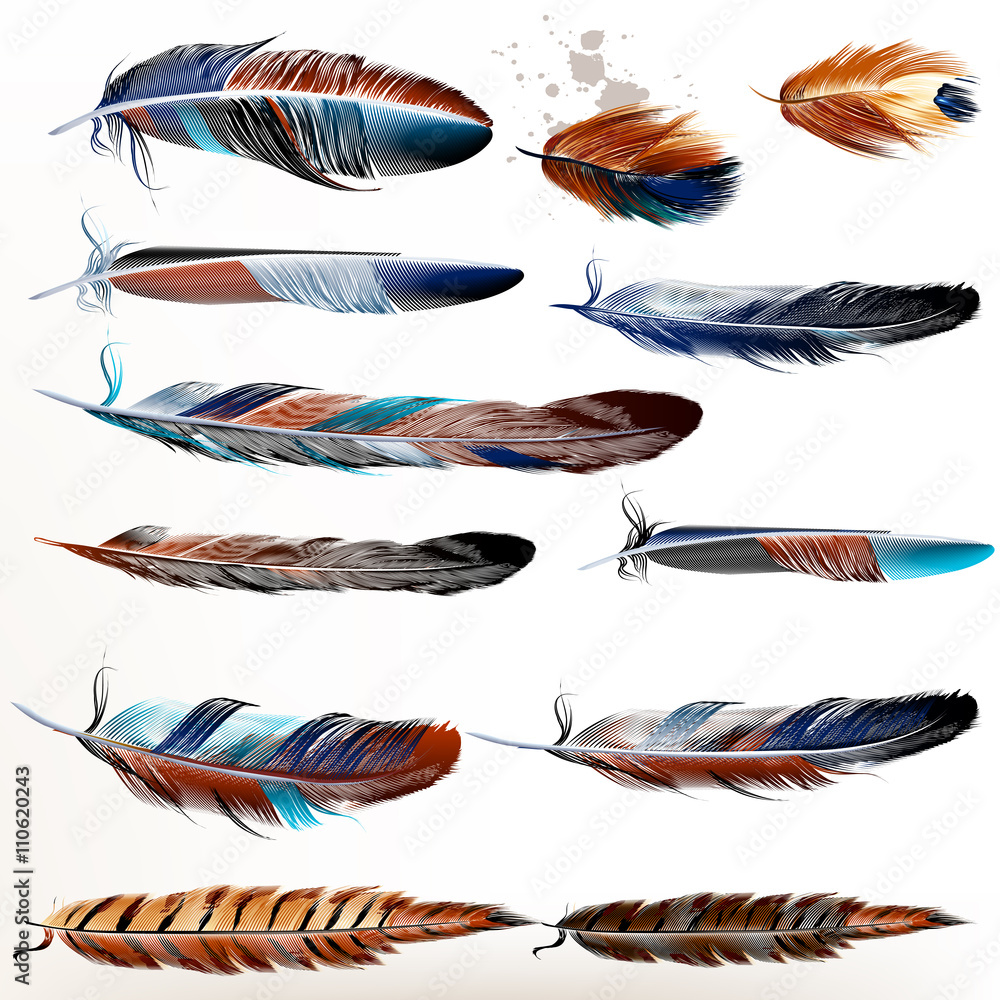 Poster Set of vector realistic colorful feathers