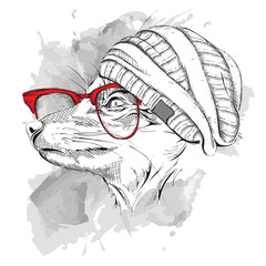 Hand draw fox in a hat and in the colored glasses. Vector illustration