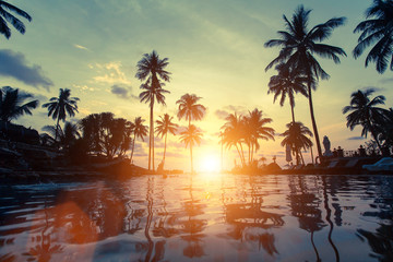 Naklejka na ściany i meble Palm trees on a tropical seaside during sunset.