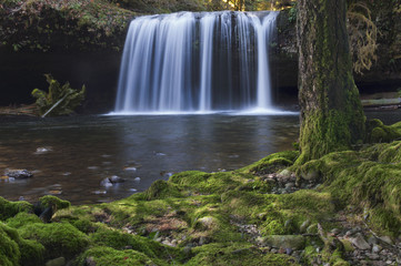 Waterfall with mossy tree and rocks in foreground/Waterfall with soft lighting in background with mossy tree and rocks at riverbank