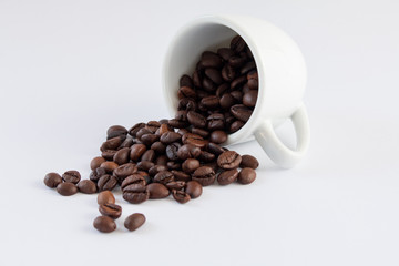 Coffee beans in coffee cup white background