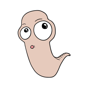 funny small worm