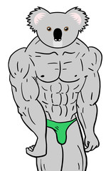 strong koala