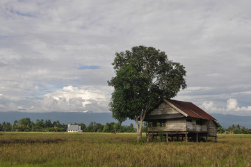 Farmer's House