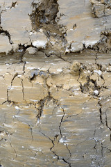 Scraped Excavated Mud Texture Background