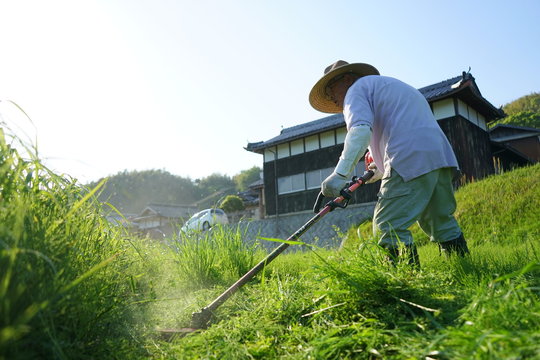 Old man mowing grass with mower / 草刈機で草刈りをする高齢者 農作業 農業 おじいさん おばあさん 農家 栽培