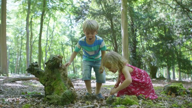  Happy little boy & girl playing in the woods & looking for insects