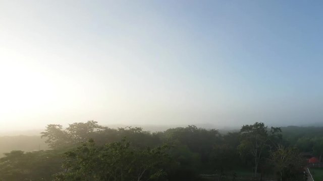 Fog Over The Tropical jungle in time lapse, Uxmal, Mexico