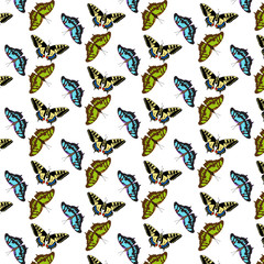 Background pattern of butterflies