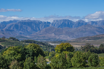 The Cape Winelands region is the premier wine producing area of South Africa