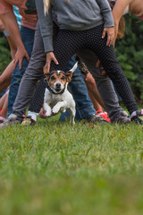 Kinder und Hund spielen und beschäftigen sich miteinander