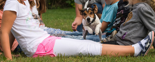Kinder und Hund spielen und beschäftigen sich miteinander