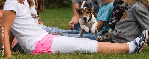 &quot;Kinder und Hund spielen und beschäftigen sich miteinander&quot; Stock photo