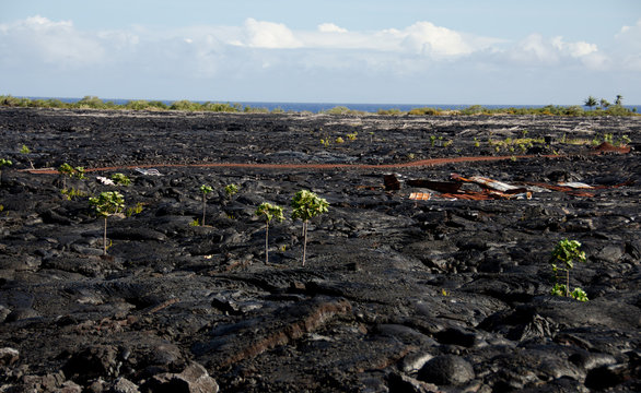 Lava flow field near Kalapana