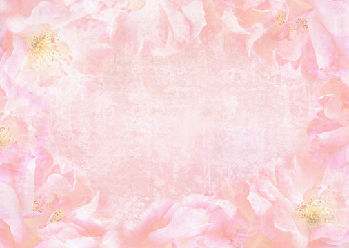 Beautiful abstract roses background with place for your text