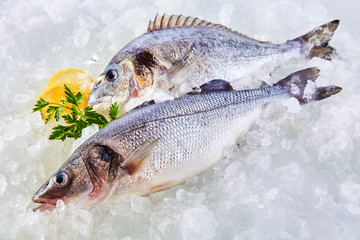 Fresh Raw Fish Chilling on Cold Bed of Ice