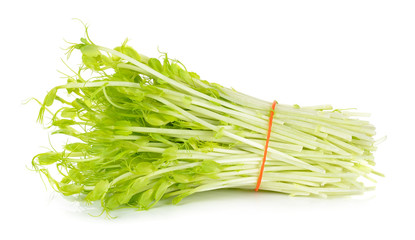 Sweet pea sprouts isolated on white background