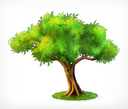 Green tree, vector icon