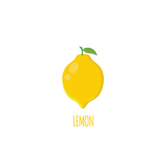 Lemon Flat Vector