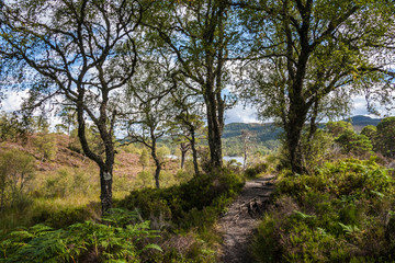 Glen Affic Scotland