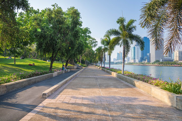 Fototapeta premium Green city park