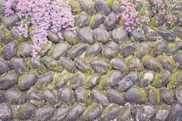 Flowers and the stone wall, Spring textured