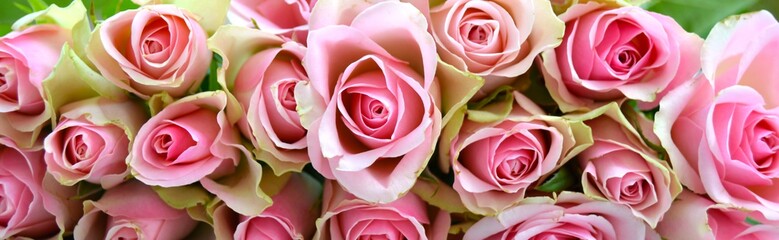 Naklejki  Kartka z życzeniami - bukiet różowych róż