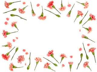 Red carnation floral border isolated on white background 