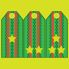 images of officers shoulder straps