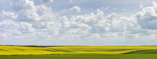 clouds in sunny day above the rape field