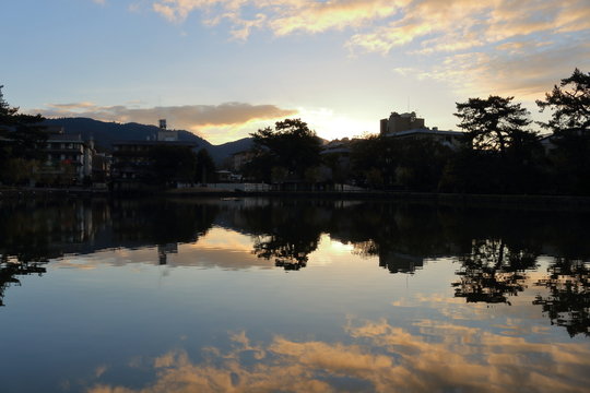 早朝の猿沢の池