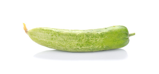One Cucumber on white background.