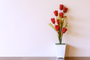 A vase of flowers against the background of beige walls