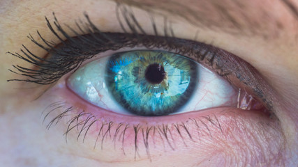 female eye