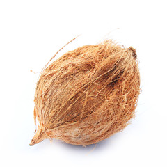 Coconut isolated on white background