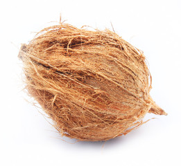 Coconut isolated on white background