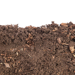 Soils for plants. isolated on white background